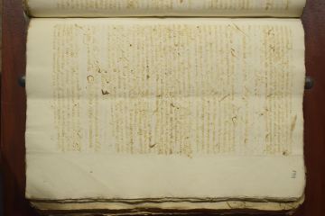 Fragmentos de un documento con referencias a escritura, declaración y protección