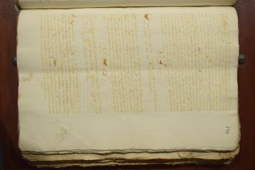 Conclusiones sobre el deudor y los derechos del establecimiento